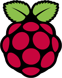 Raspberry Pi symbol