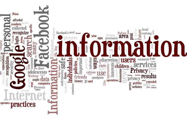 information privacy wordle